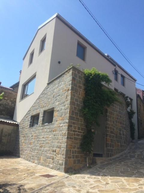 Contemporary House Padna Villa Secovlje Exterior photo